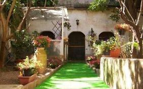 Villa Sofia E Sveva Con Giardino